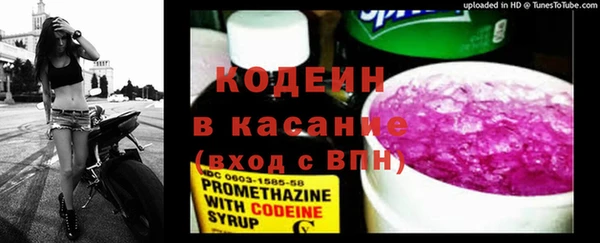твердый Абаза