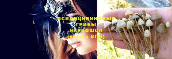 сатива Алексеевка