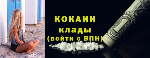 твердый Абаза