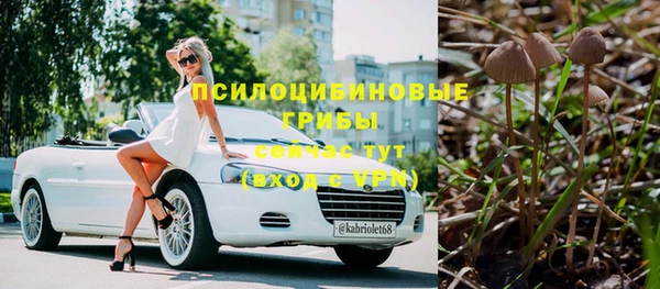 сатива Алексеевка