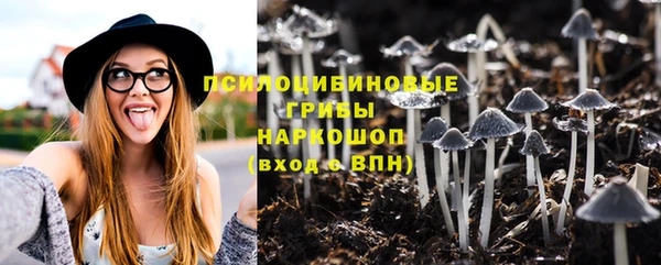 сатива Алексеевка