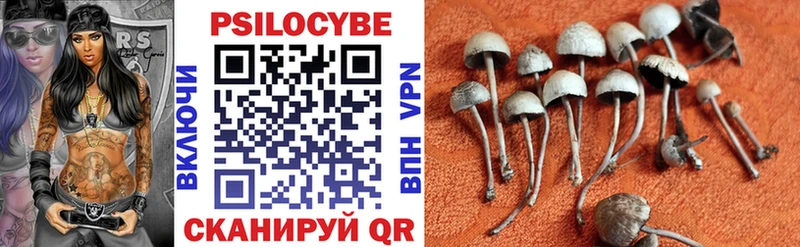 Галлюциногенные грибы прущие грибы  Венёв 